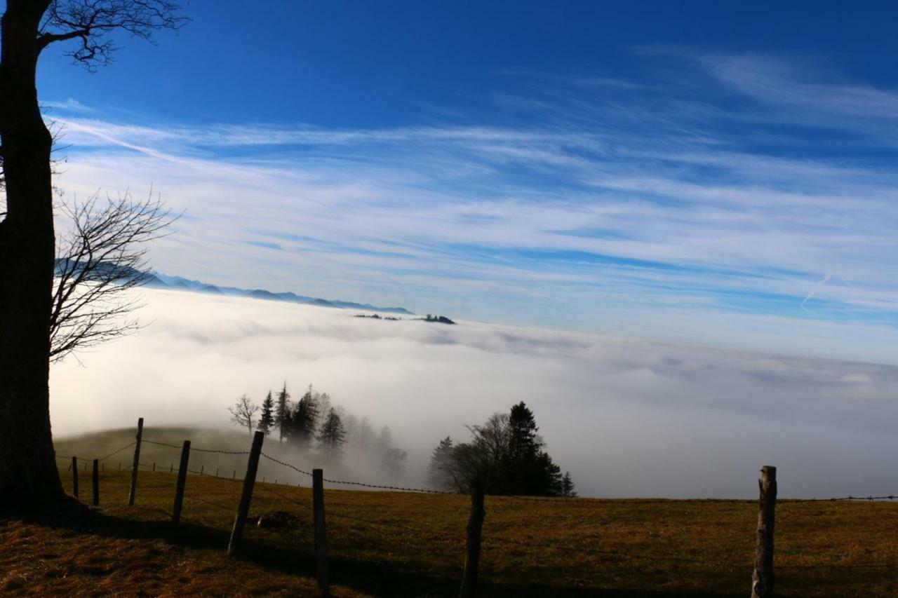 Miniponyhof Biohof Almbauer Waidhofen an der Ybbs Exterior foto